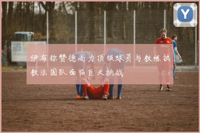 伊布称赞德尚为顶级球员与教练执教法国队面临巨大挑战